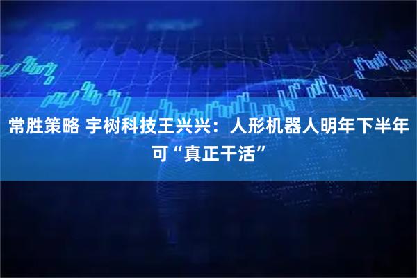 常胜策略 宇树科技王兴兴：人形机器人明年下半年可“真正干活”