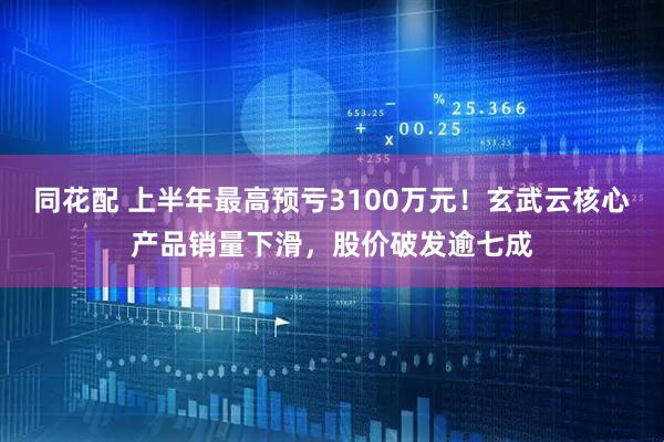 同花配 上半年最高预亏3100万元!玄武云核心产品销量下滑,股价破发逾七成