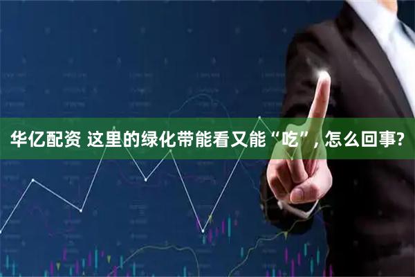 华亿配资 这里的绿化带能看又能“吃”, 怎么回事?