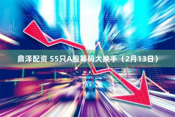 鼎泽配资 55只A股筹码大换手（2月13日）