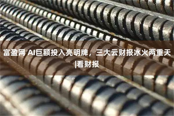 富盈网 AI巨额投入亮明牌，三大云财报冰火两重天|看财报