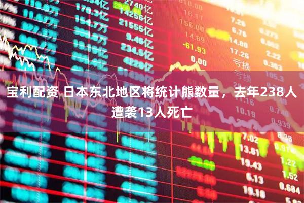宝利配资 日本东北地区将统计熊数量，去年238人遭袭13人死亡