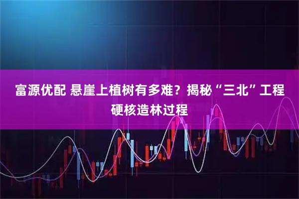 富源优配 悬崖上植树有多难？揭秘“三北”工程硬核造林过程